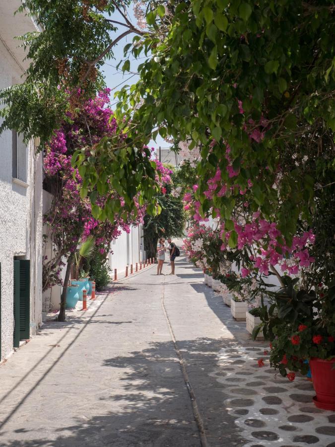 Terra Fos Naxos Studios Naxos City Luaran gambar